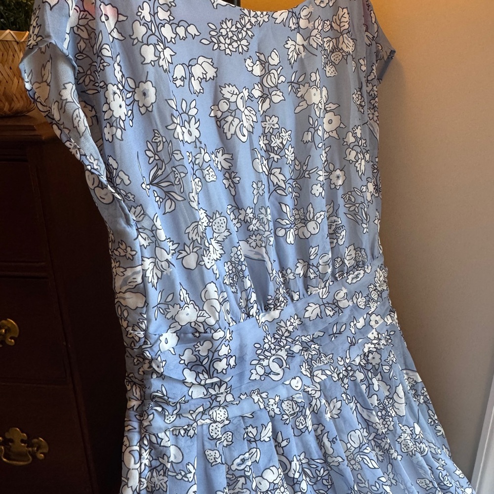 Blue and White Floral Sun Summer Dress